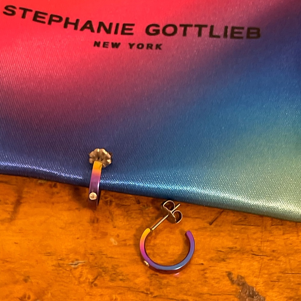 Stephanie Gottlieb titanium rainbow hoop earrings w diamond
